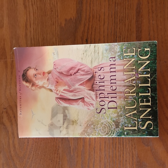 Set of 4 Inspirational Historical Romance Novels - Picture 10 of 12